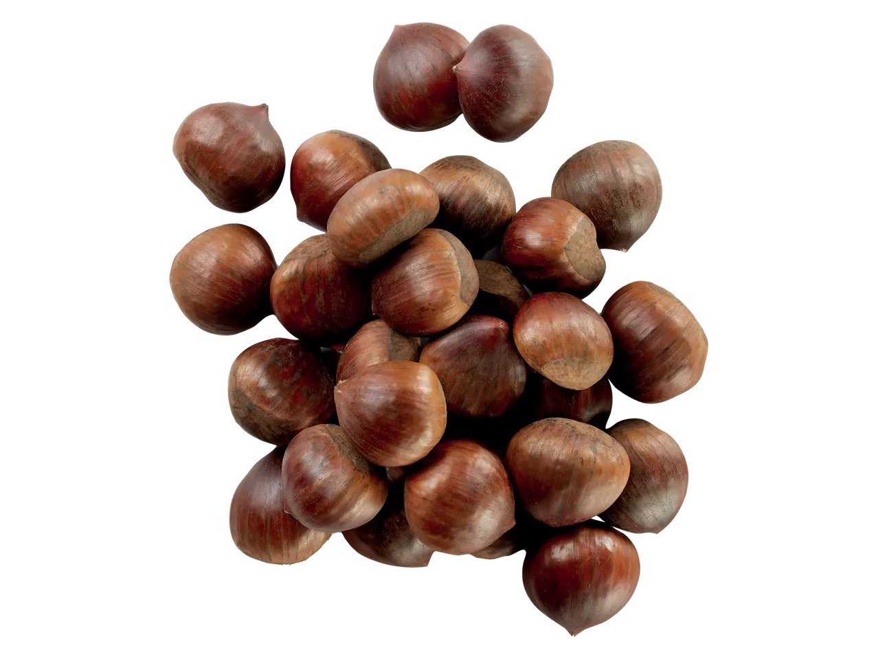 Castagne