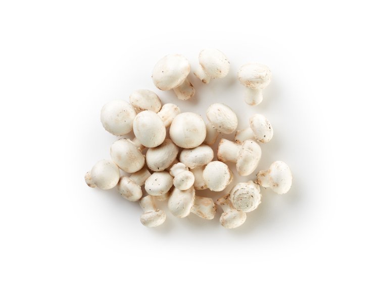 Champignon XXL