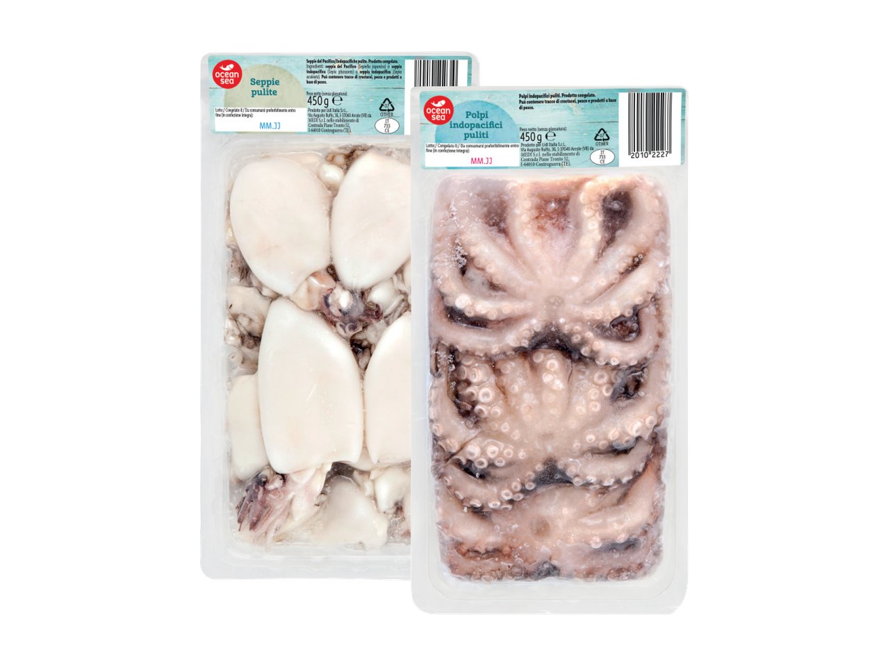 Seppie e polpi
