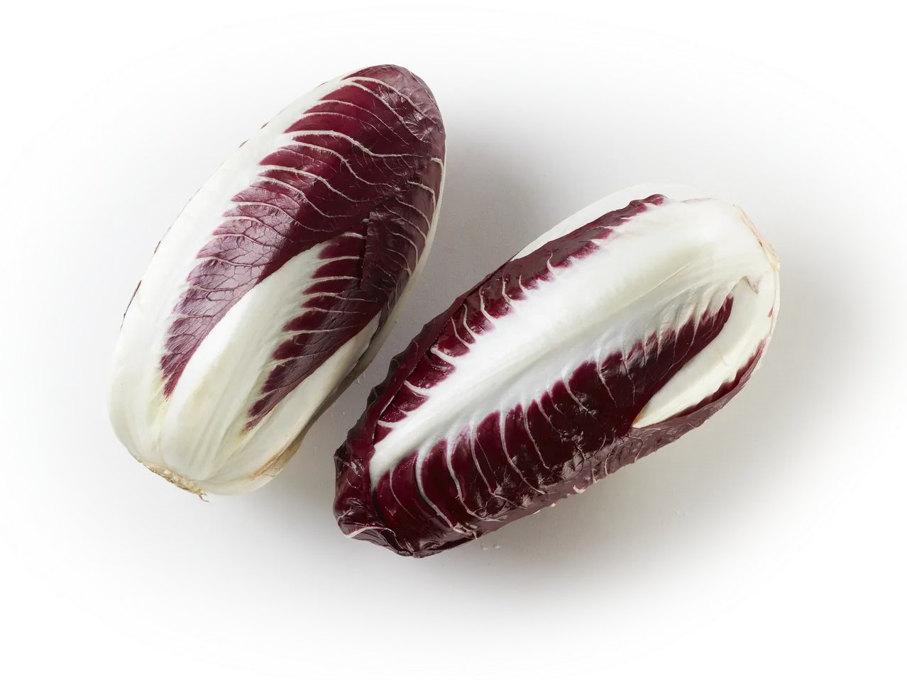 Radicchio
