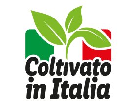 Patate della Sila IGP