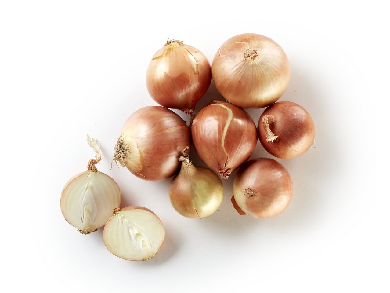 Cipolle dorate Selenella