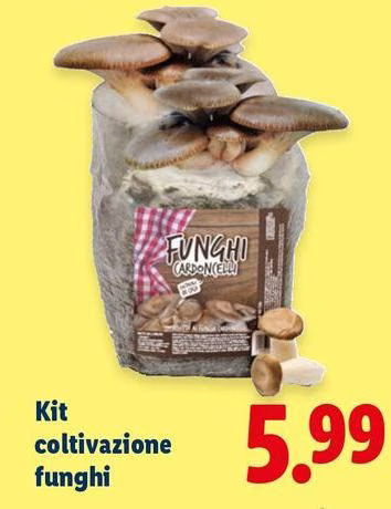 Kit Coltivazione Funghi