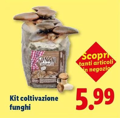 Kit Coltivazione Funghi