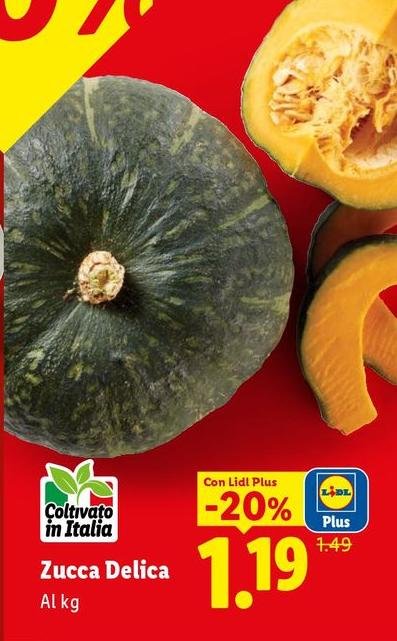 Zucca Delica