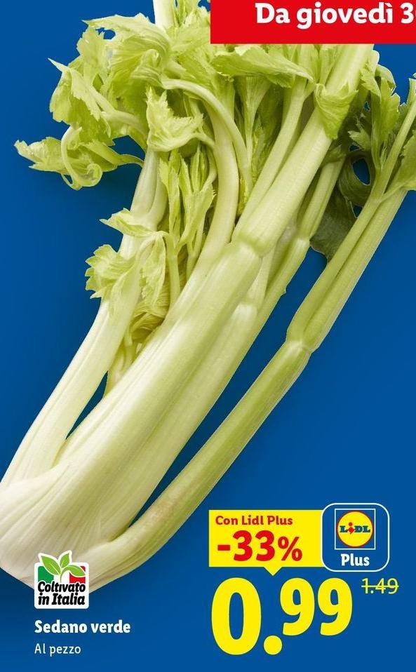 Sedano Verde