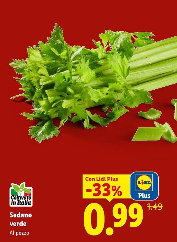 Sedano Verde