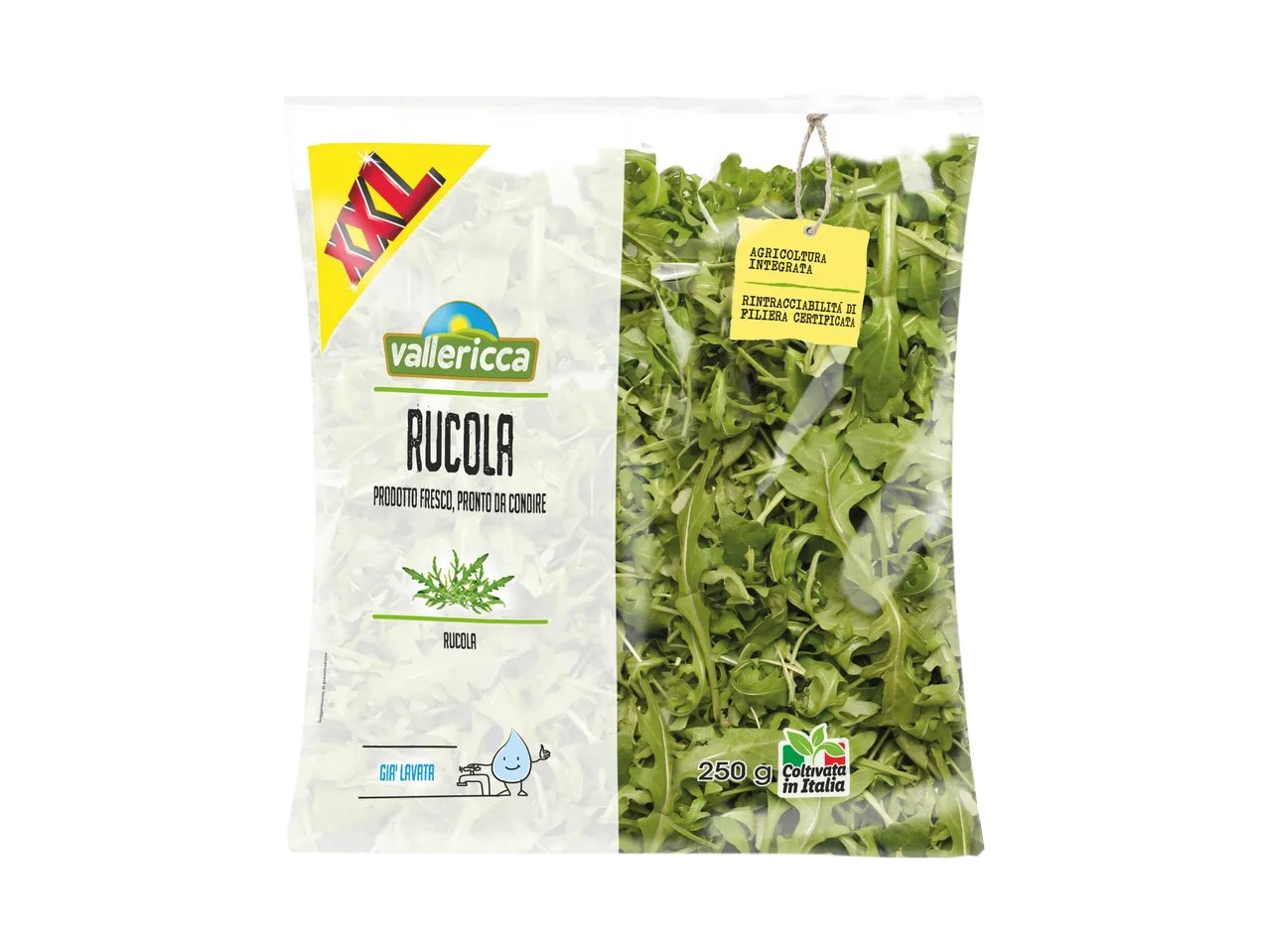 Rucola XXL