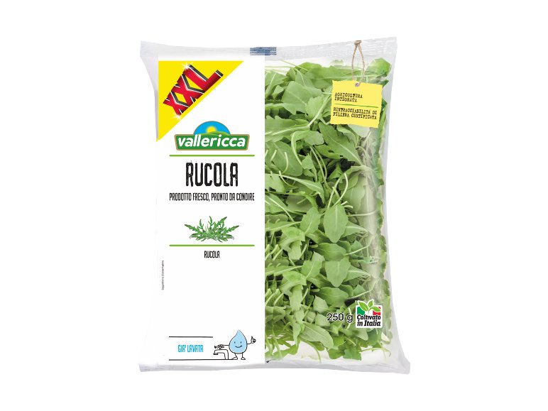 Rucola XXL