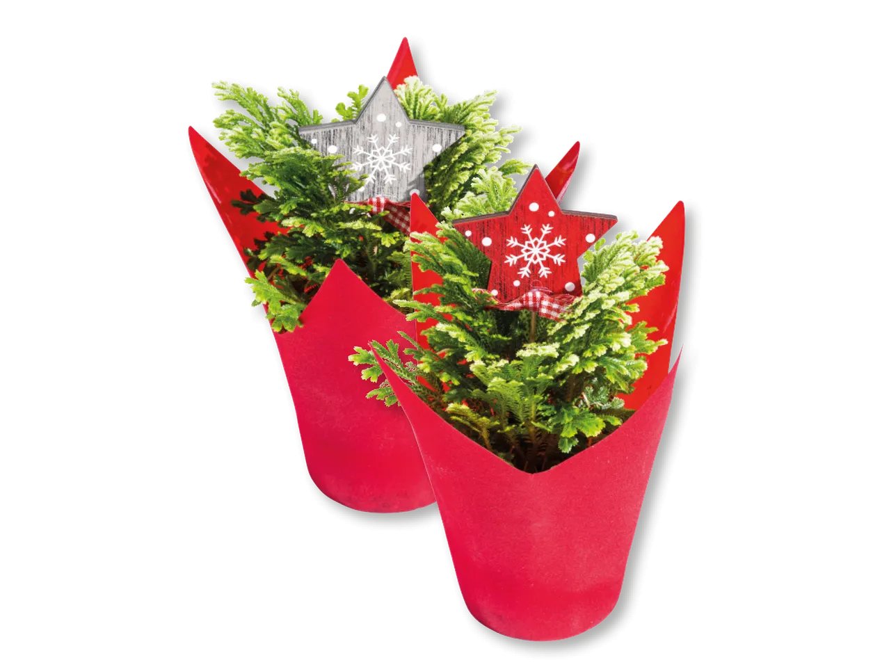 Mini alberello di Natale