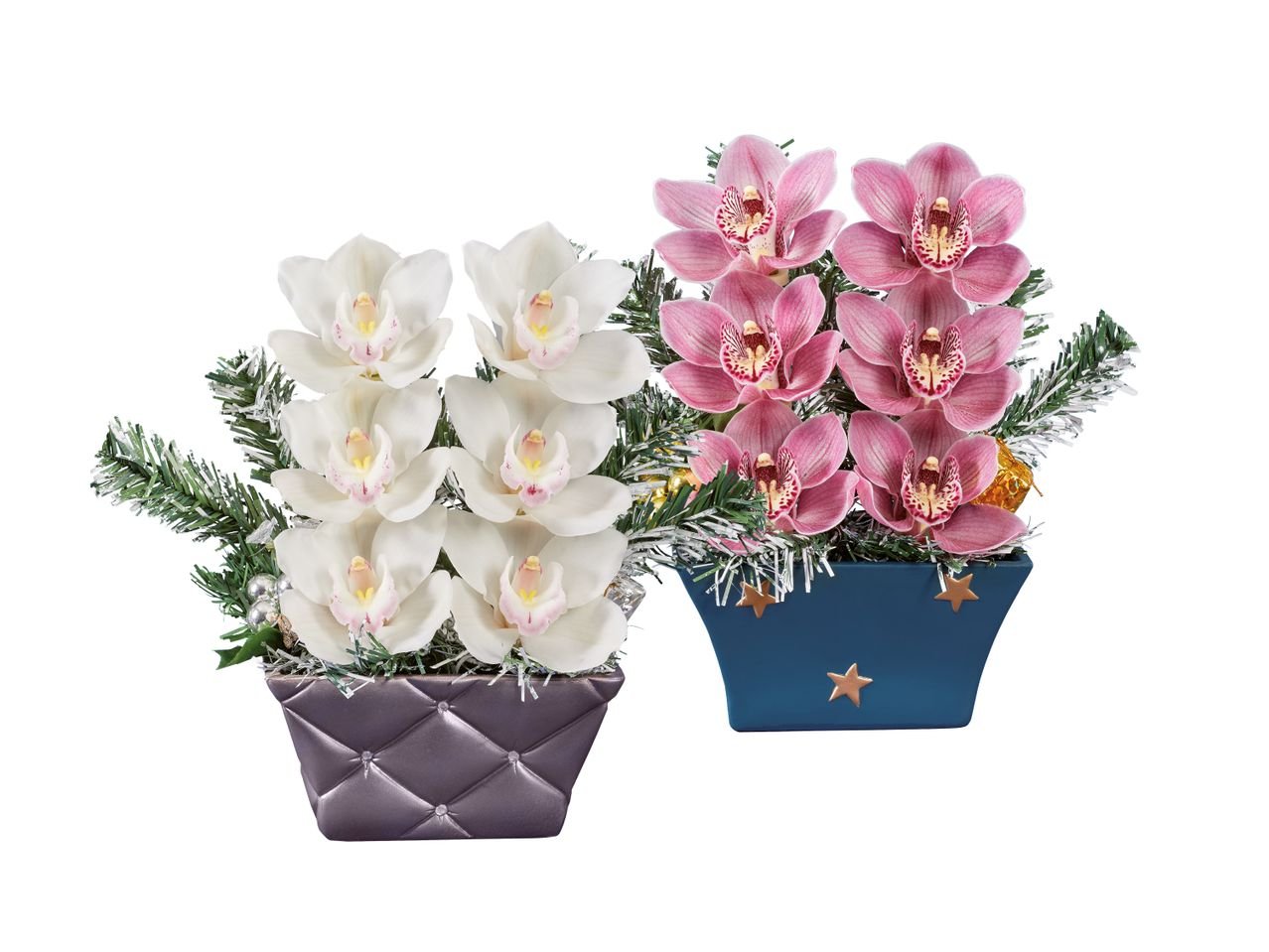 Orchidea composizione 3 fiori