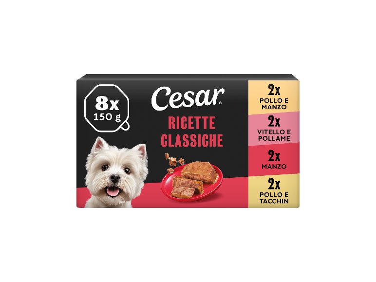 Cibo umido per cani