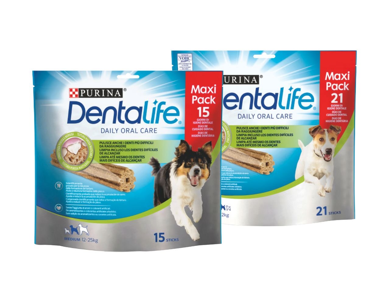 Dentalife Maxi