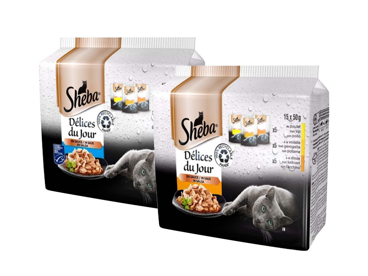 Délices du Jour per gatti