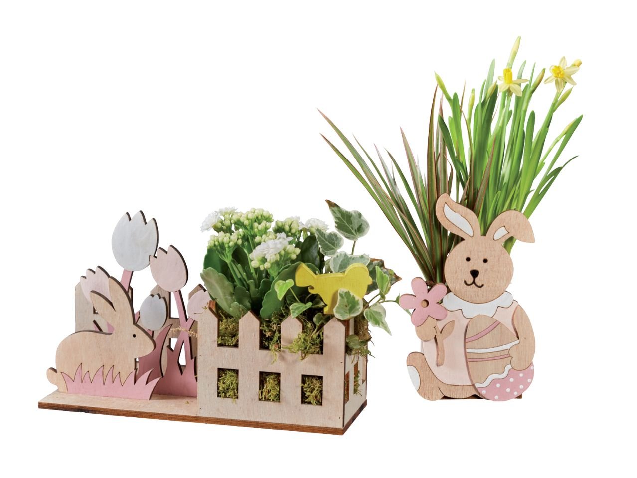 Piante di Pasqua con figura in legno