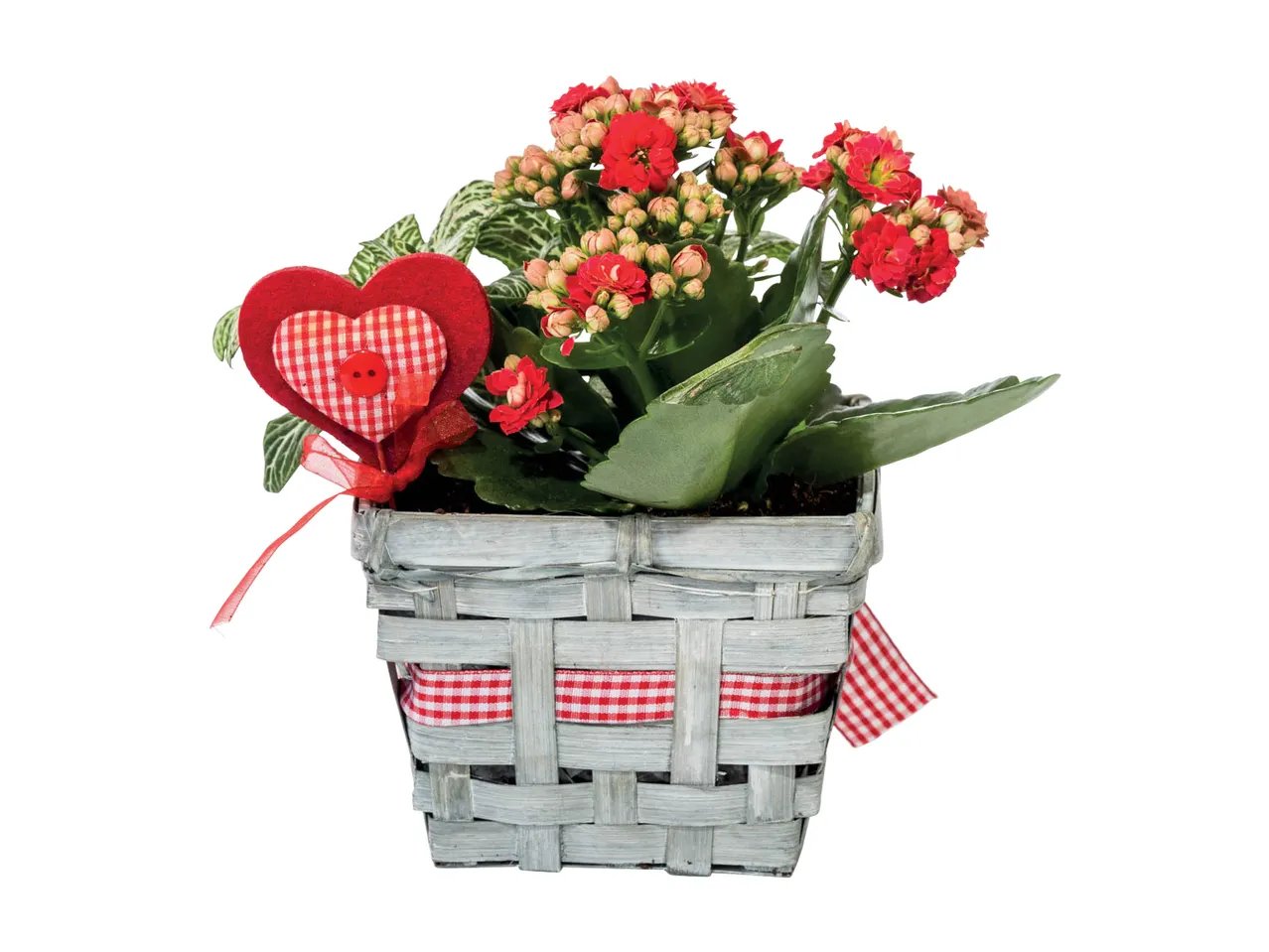 Composizione floreale