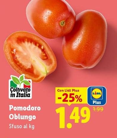 Pomodoro Oblungo