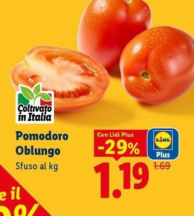 Pomodoro Oblungo