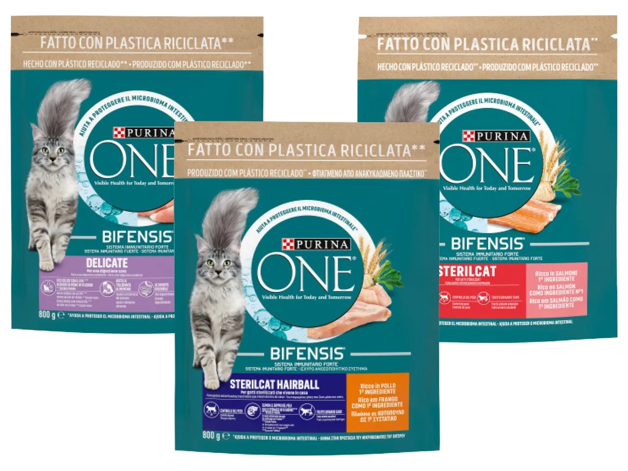 “Bifensis” Croccantini gatti