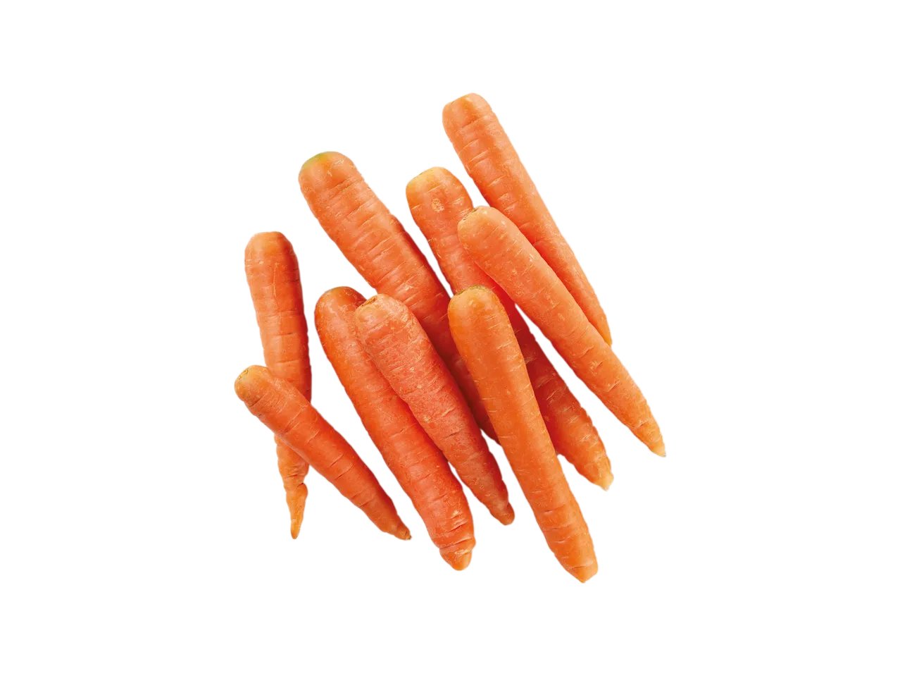 Carota del fucino IGP