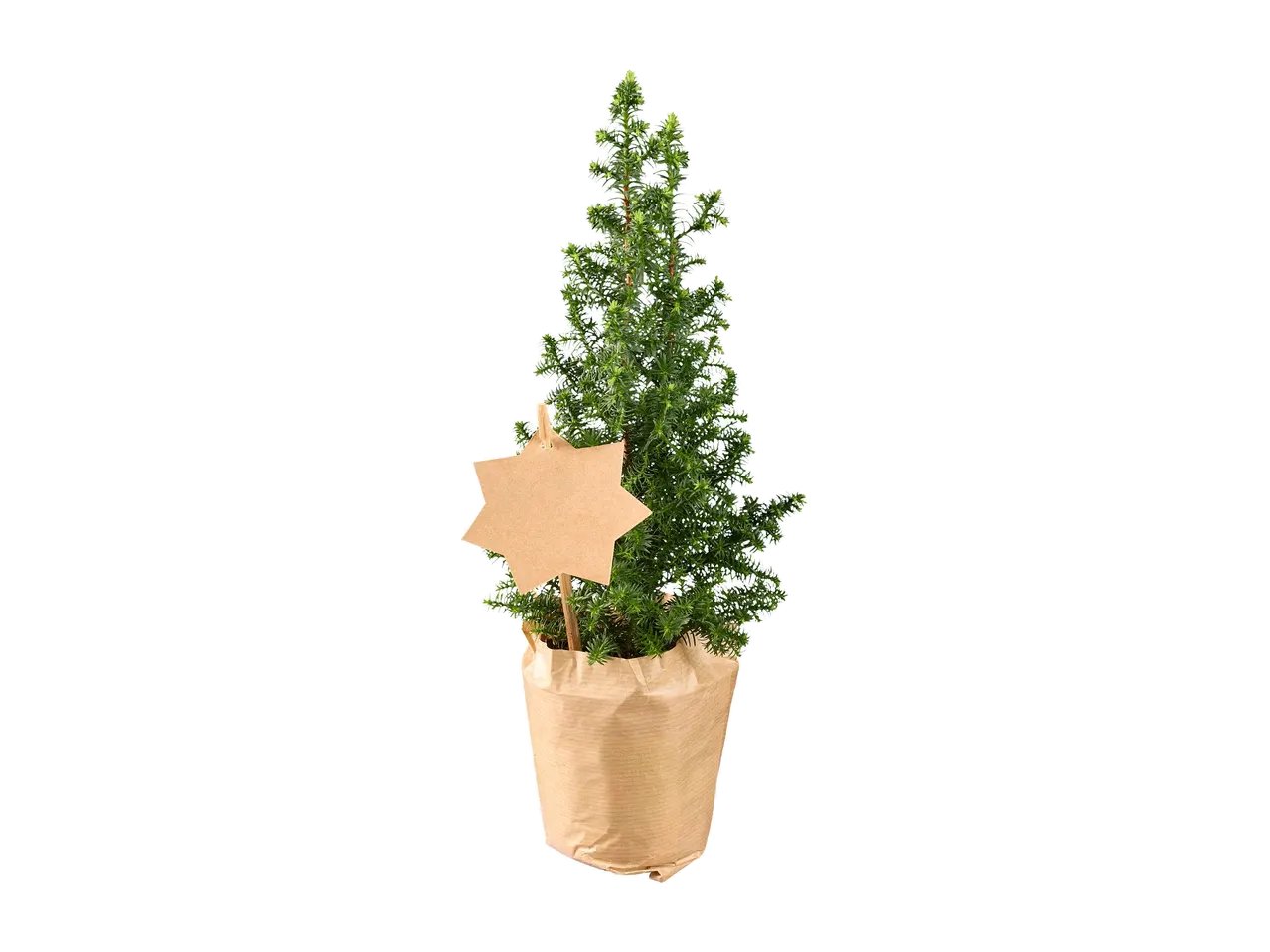 Mini albero di Natale