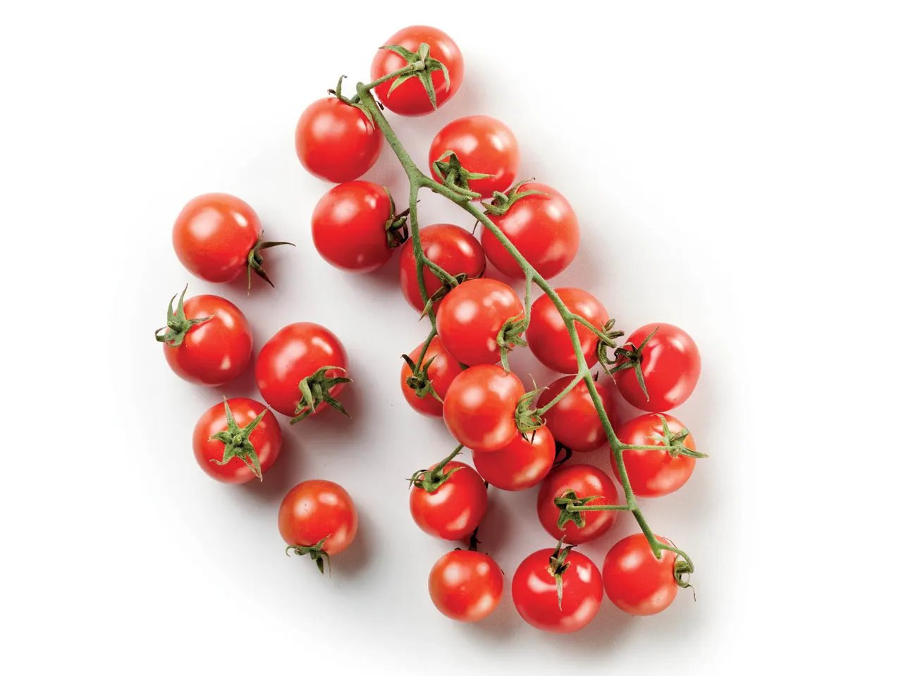 Pomodoro Ciliegino premium