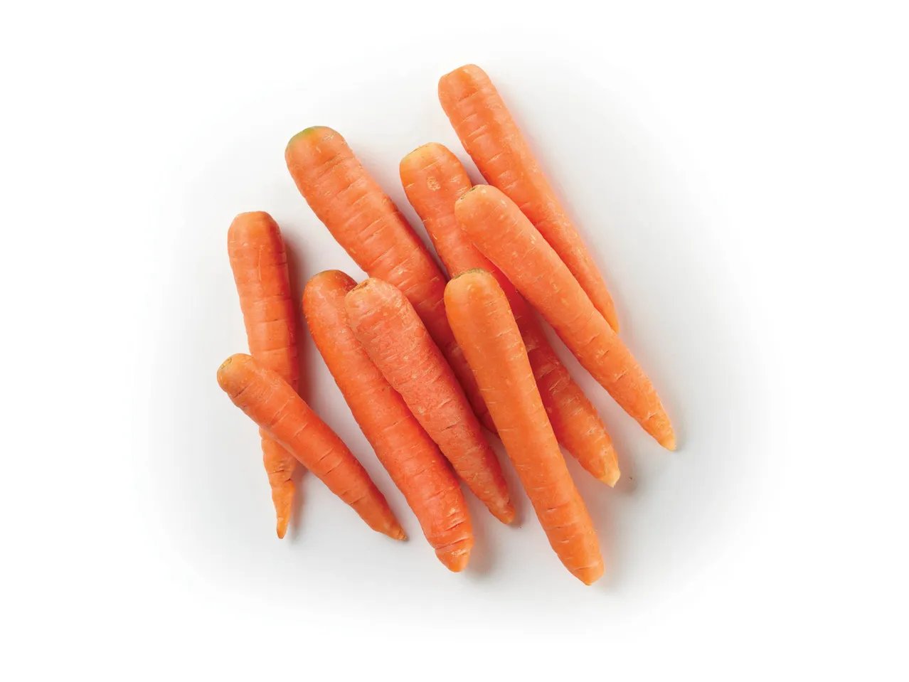 Carota di Ispica IGP