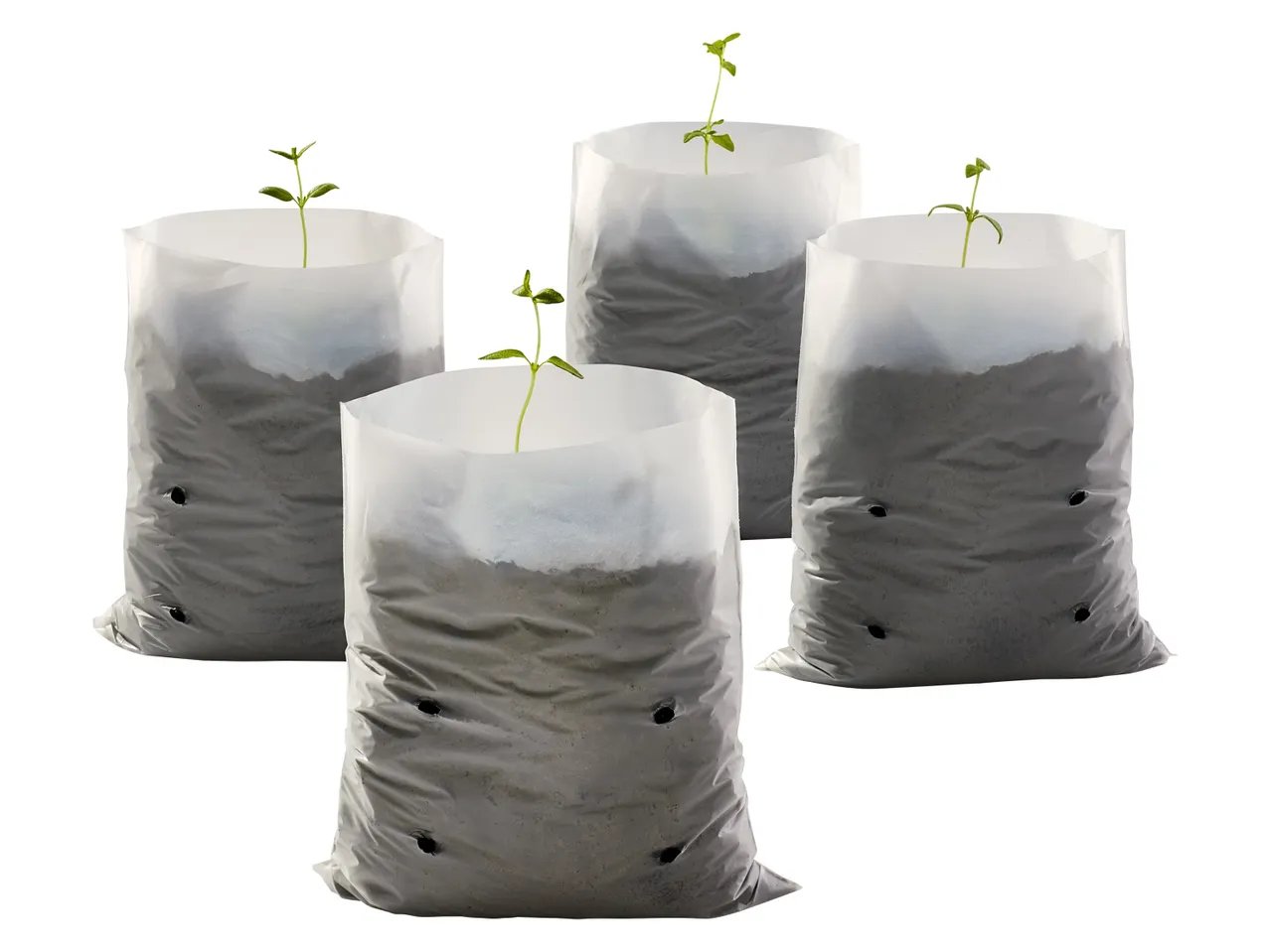 Telo o sacchetti per piante