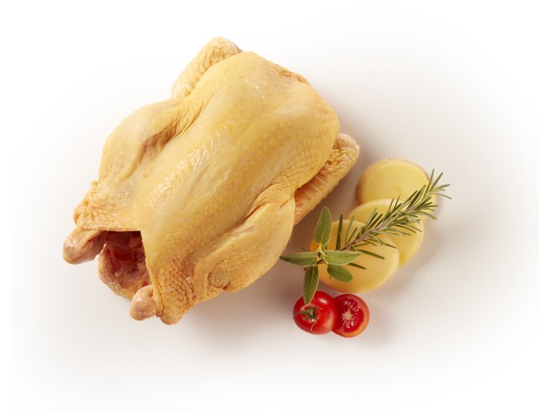Pollo allevato all'aperto