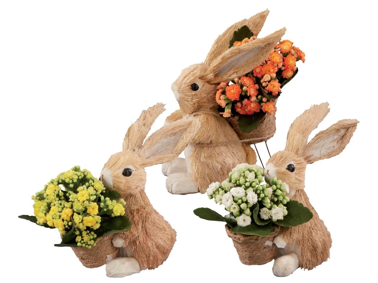 Coniglietto di Pasqua