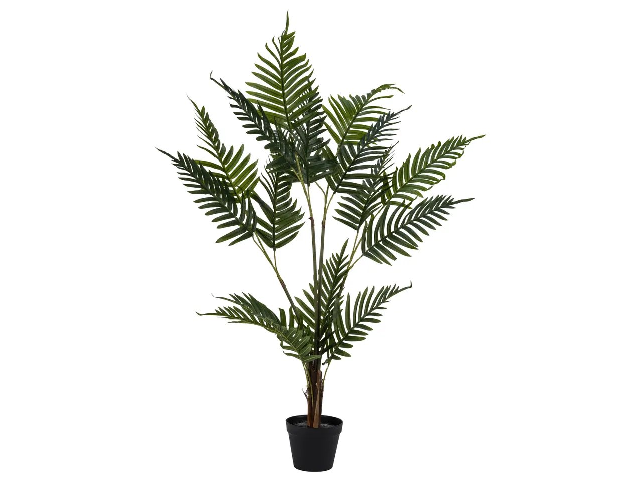 Pianta artificiale decorativa