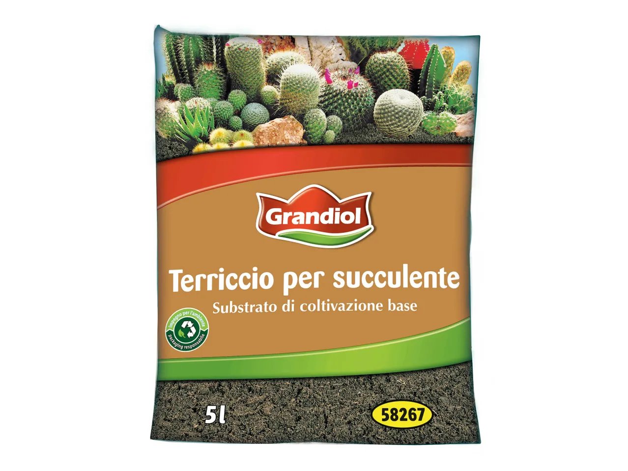 Terriccio per succulente