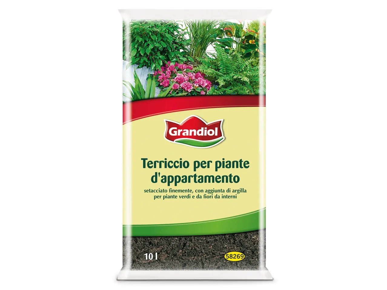 Terriccio per piante da appartamento