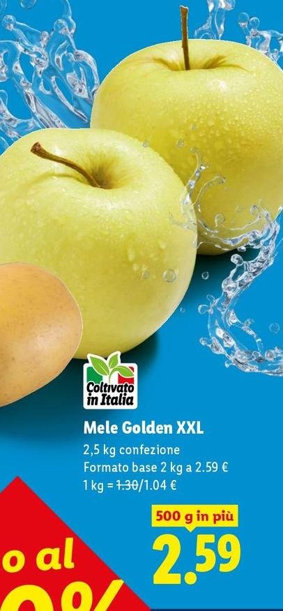 Mele Golden Xxl