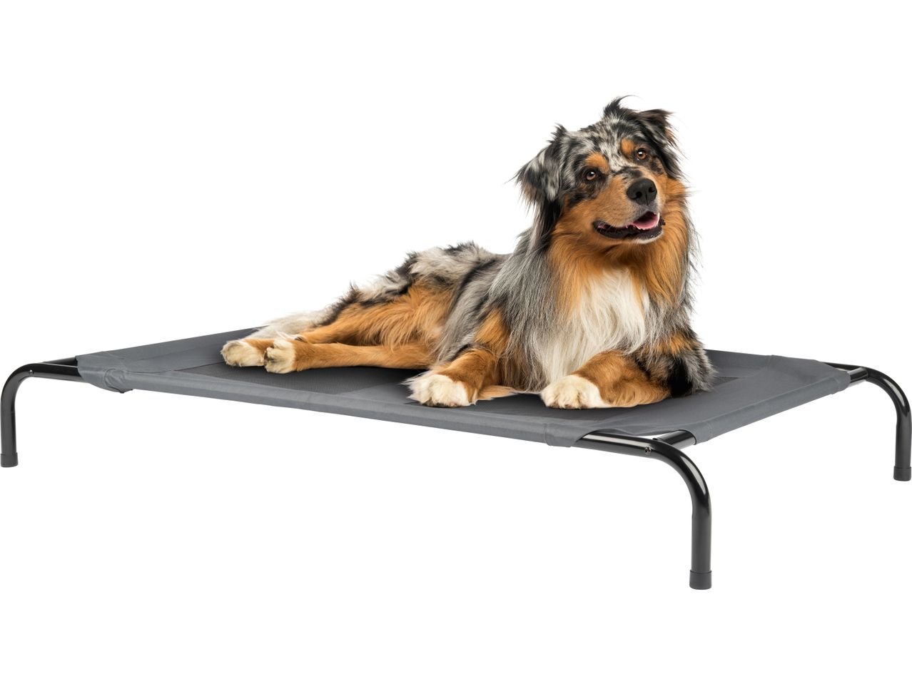 Lettino rialzato per animali