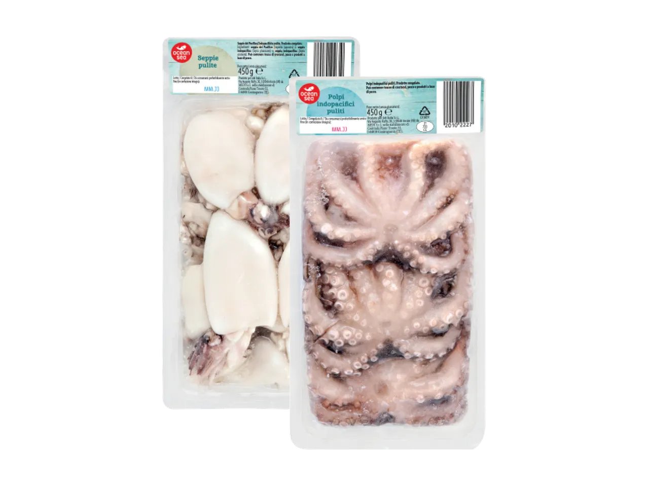 Seppie e polpi indopacifici