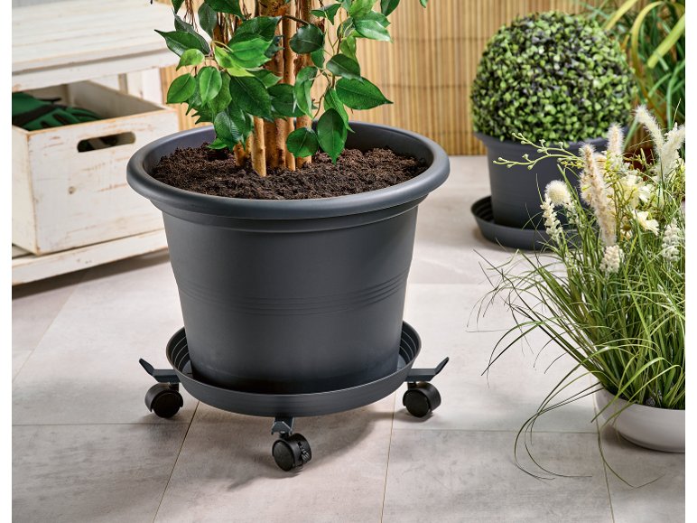 Portavaso telescopico con rotelle