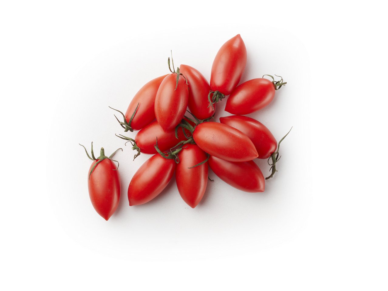 Pomodoro Marzaninetto