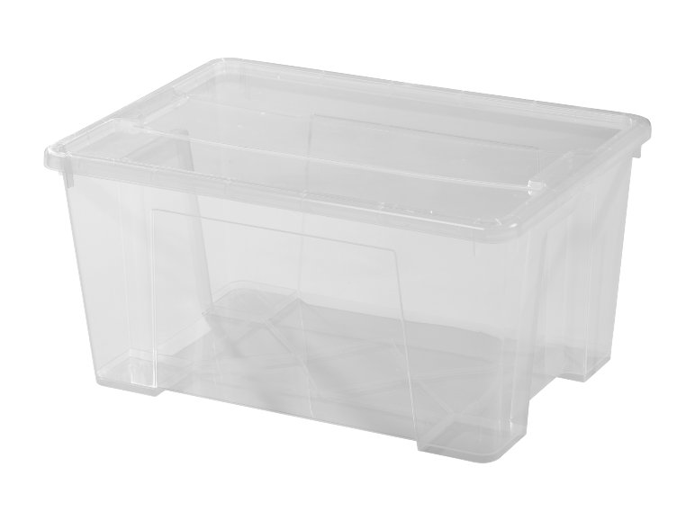 Box portaoggetti 20 L con coperchio