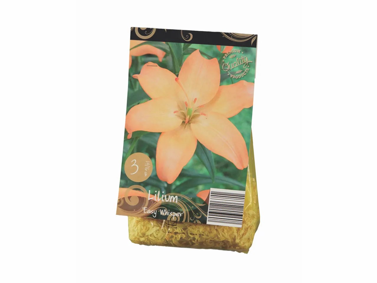Bulbi di lilium