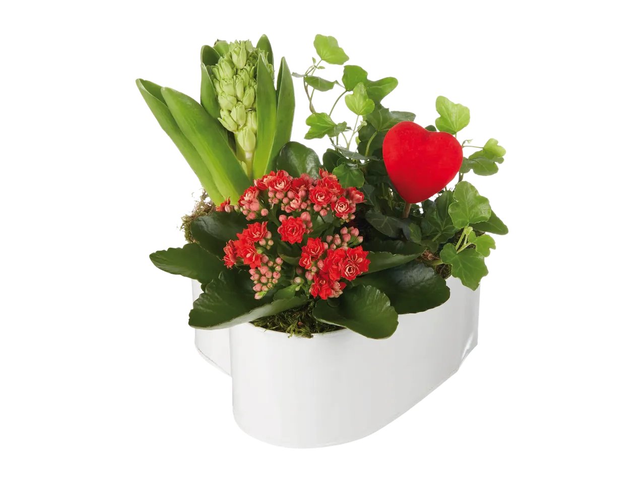 Composizione di San Valentino