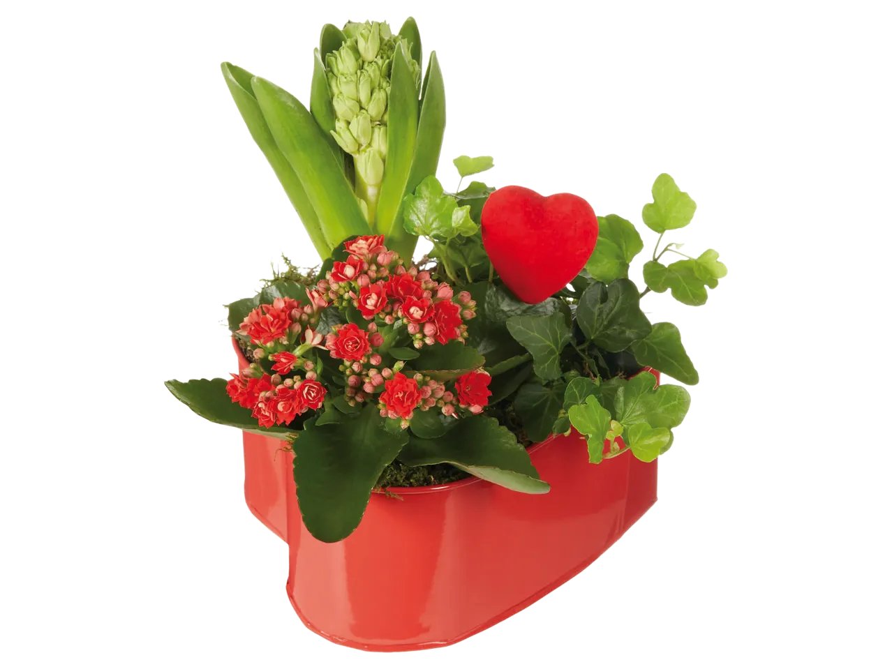 Composizione di San Valentino