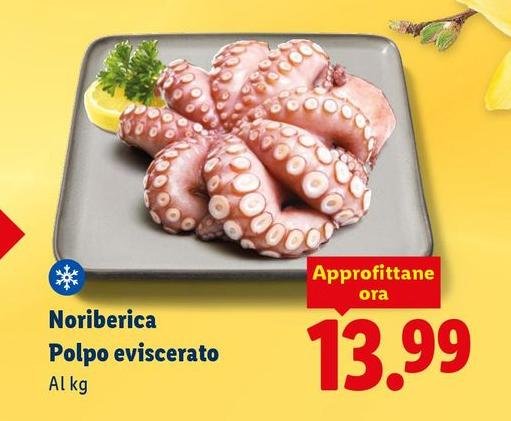 Noribèrica - Polpo Eviscerato