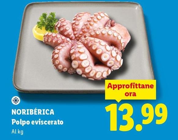 Noribèrica - Polpo Eviscerato