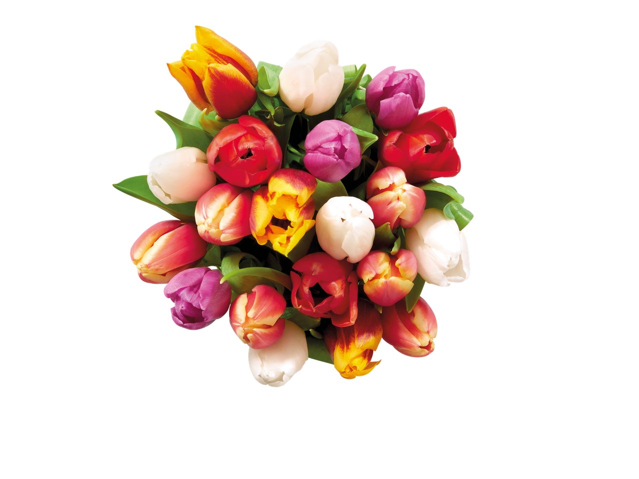 Mazzo di tulipani arlecchino