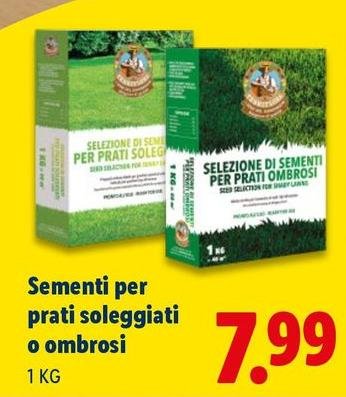 Terri Flora - Sementi Per Prati Soleggiati O Ambrosi