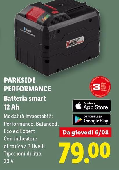 Parkside Performance - Batteria Smart 12 Ah
