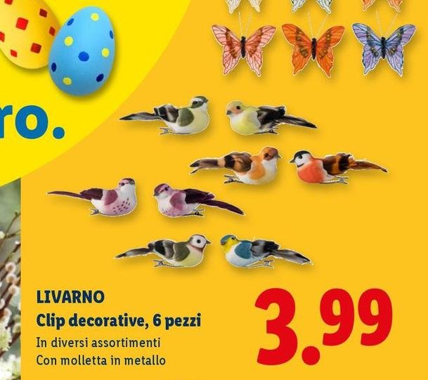 Livarno - Clip Decorative, 6 Pezzi