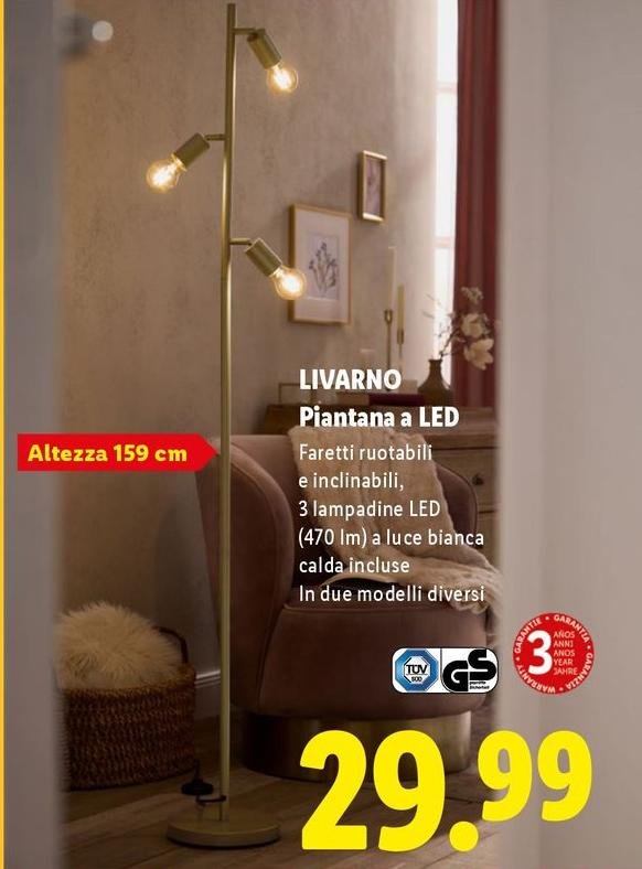 Livarno - Pintana A LED