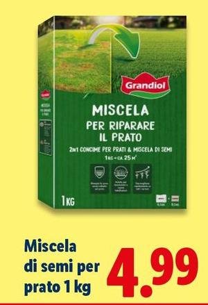 Grandiol - Miscela Di Semi Per Prato
